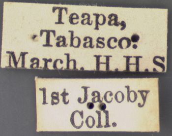 Media type: image; Entomology 9267   Aspect: labels 2